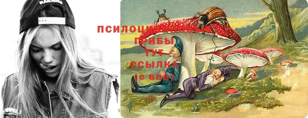МДПВ Алзамай